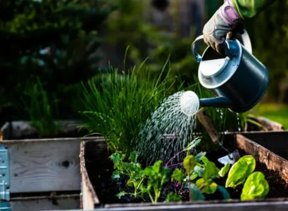 arroser un petit potager en bac