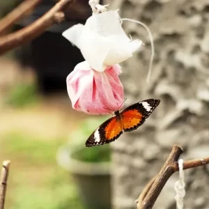 magnifique papillon mangeant du sirop dans un sac à nid