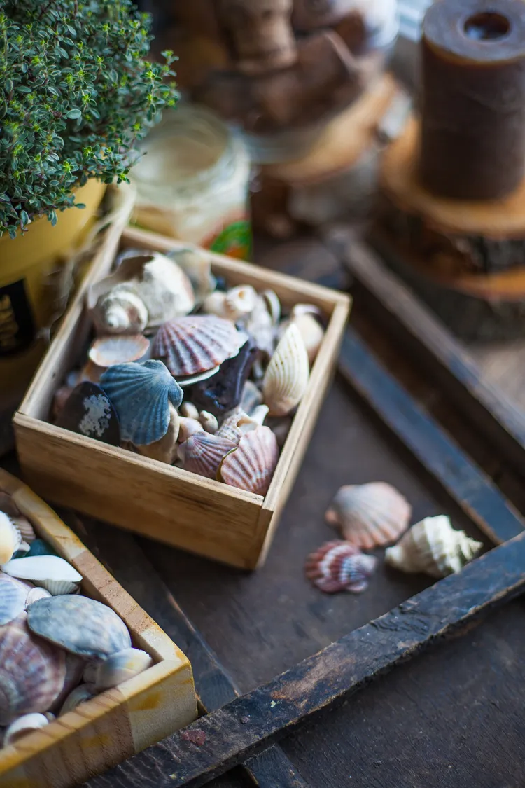 mettez des coquillages dans une boîte pour inviter la déco maritime sur le balcon