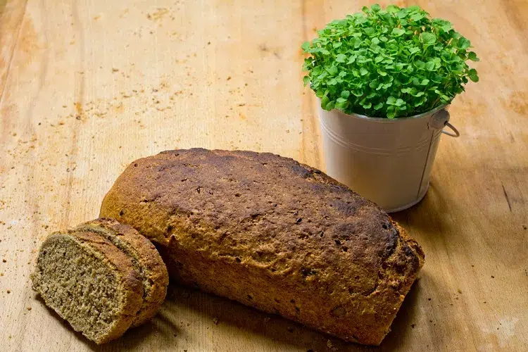 quels sont les bienfaits du pain pour les plantes