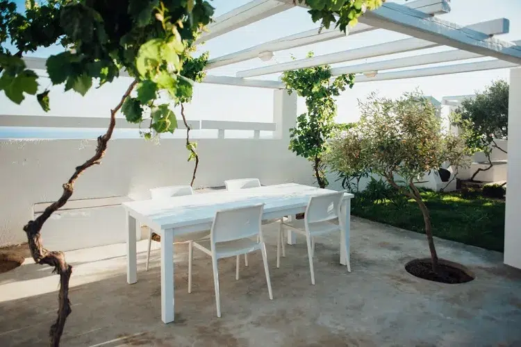 terrasse avec table et chaises blanches sous un toit blanc avec vignes et oliviers