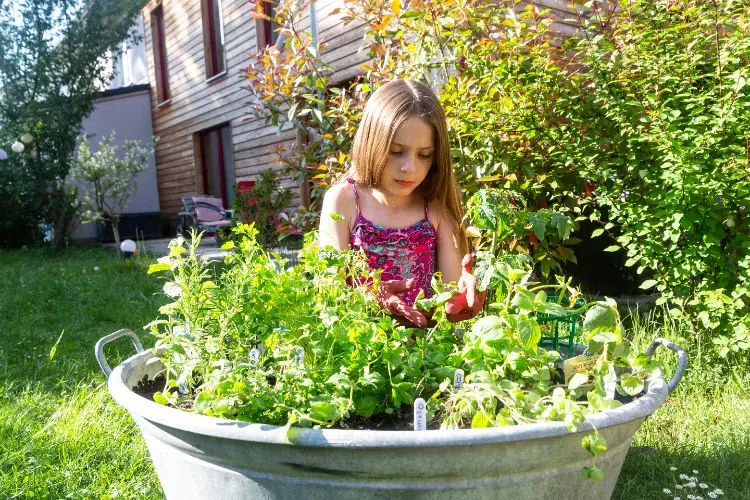 activités de jardinage pour enfants
