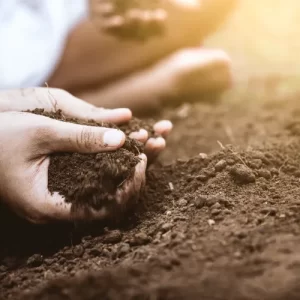 comment améliorer la structure d'un sol
