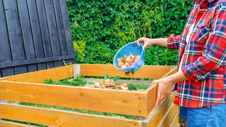 comment entretenir le compost en été sans odeurs 