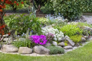 comment faire pousser des fleurs de rocaille au jardin jolanta wojcicka shutterstock