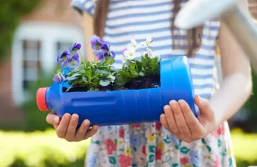 comment faire un pot en bouteille de plastique daisy daisy shutterstock