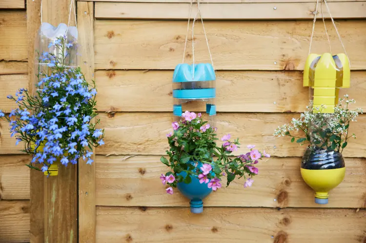 idées avec des bouteilles de plastique dans le jardin daisy daisy shutterstock