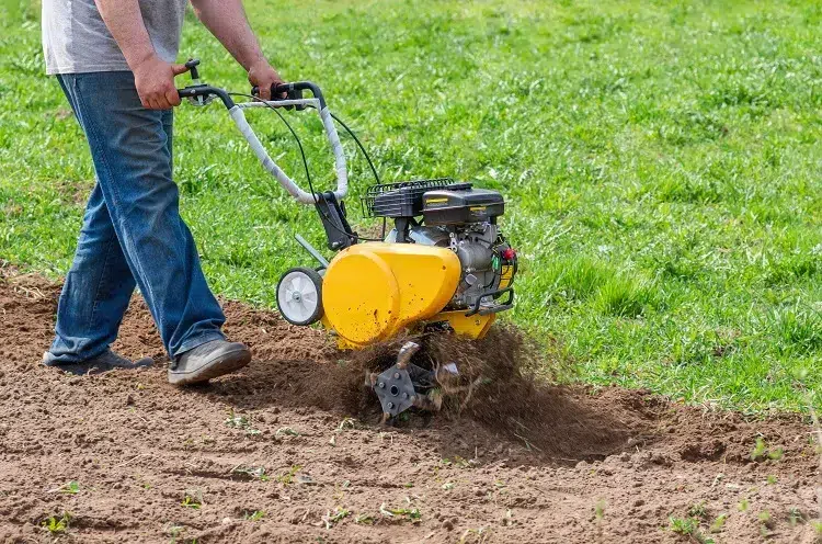 motobineuse pour un jardin potager à faible etnretien