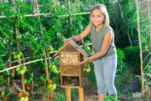 où placer un hôtel à insectes dans le jardin bearfotos shutterstock
