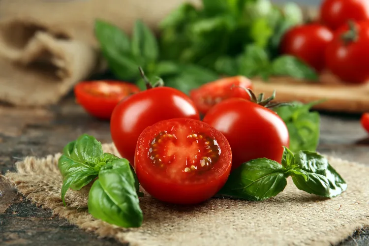 peut on perdre du poids en mangeant des tomates