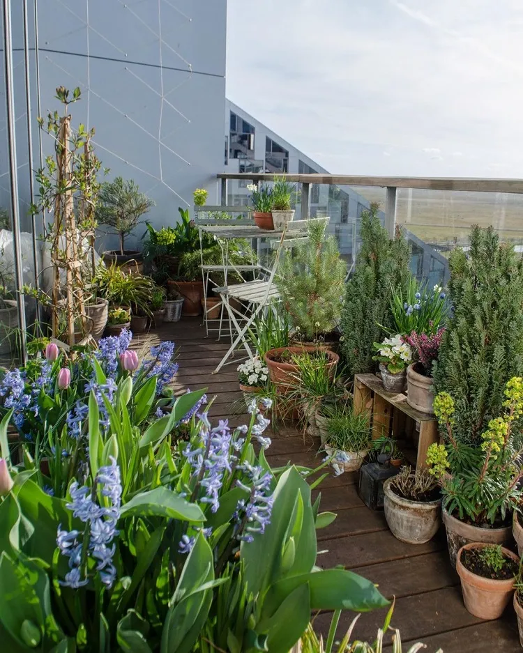 plantes résistantes au soleil pour aménager un jardin sur une terrasse d'appartement