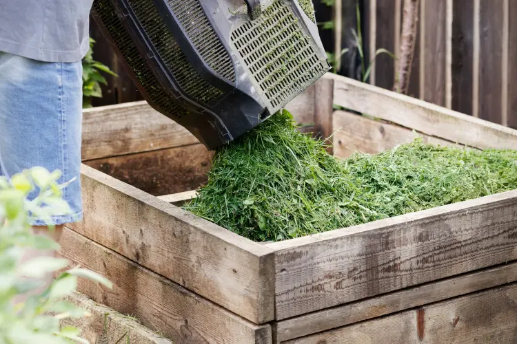 quel entretien du compost en été quand il fait chaud 