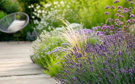 quelles plantes associer avec la lavande