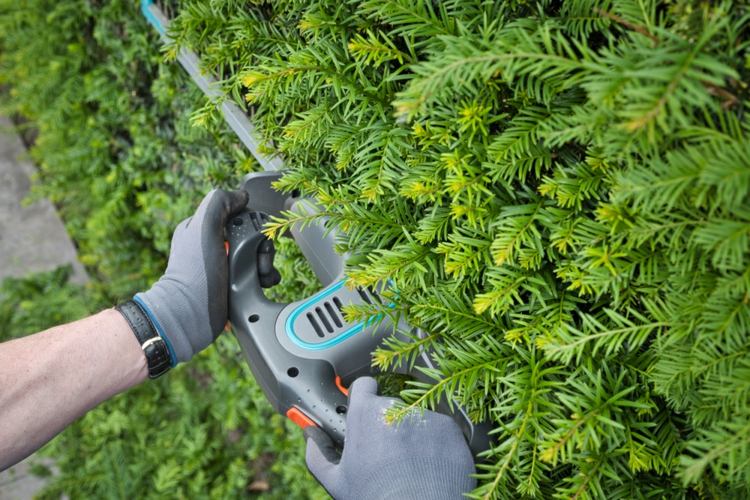 close,view,of,a,gardeners,hand,holding,a,hedge,trimmer