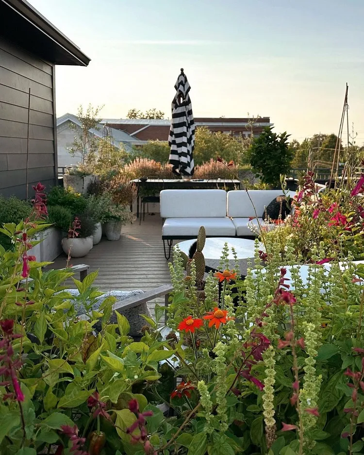 top idées pour aménager un jardin sur une terrasse d'appartement en ville