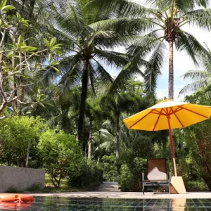 comment créer une ambiance tropicale autour de la piscine oleg elkov shutterstock