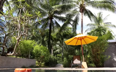 comment créer une ambiance tropicale autour de la piscine oleg elkov shutterstock