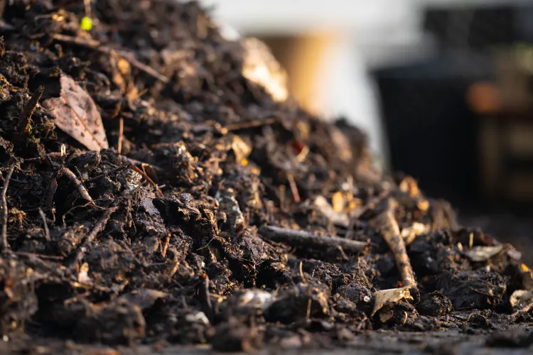 ajoutez le compost