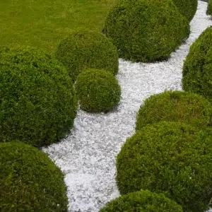 déco jardin avec du gravier blanc