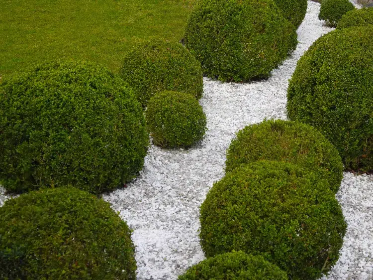 déco jardin avec du gravier blanc