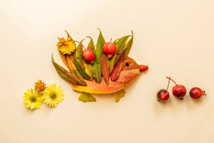 hérisson en feuilles d'automne à faire avec les enfants de la maternelle