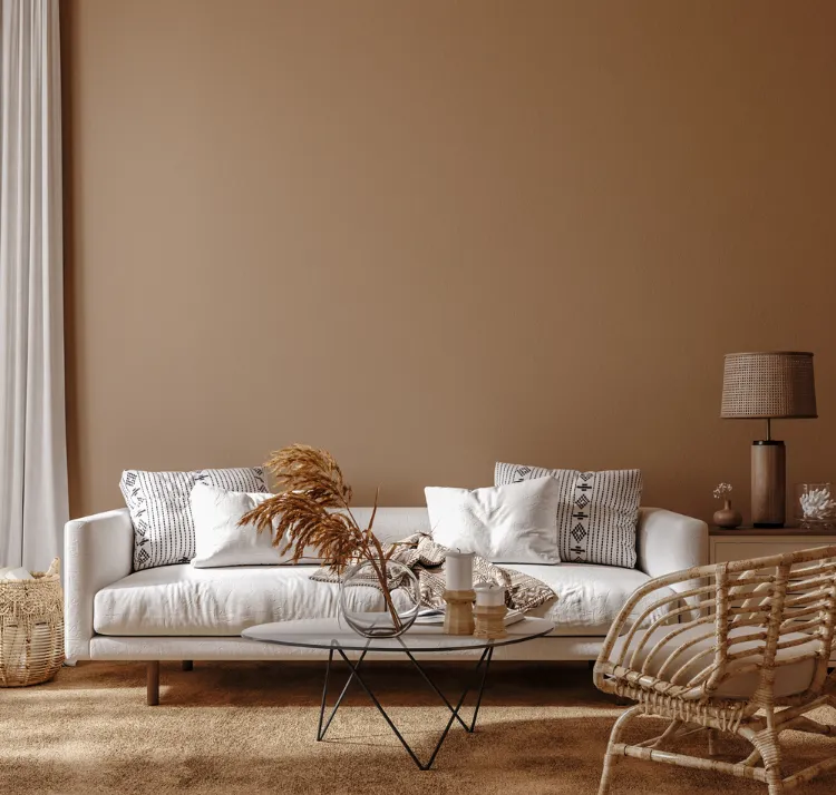 idée de déco salon cocooning avec une peinture murale marron chaleureux