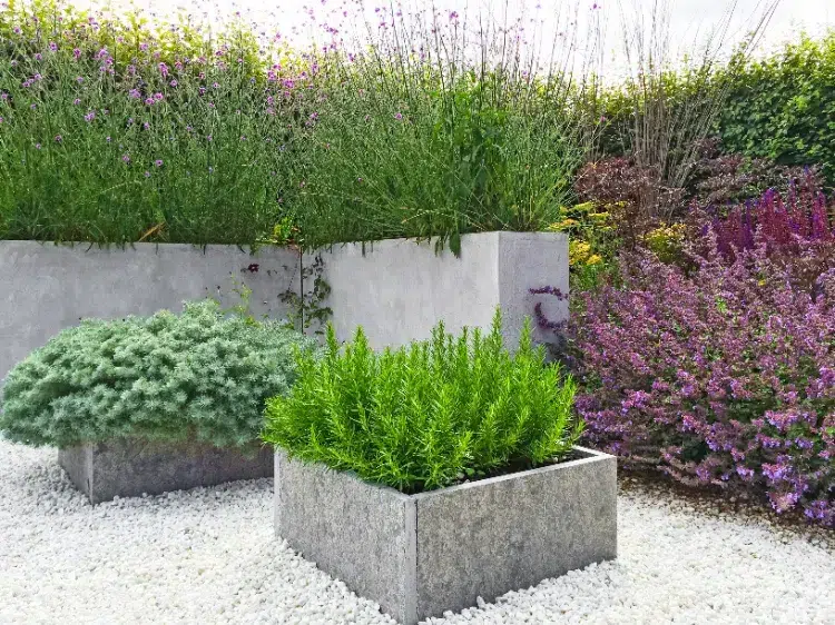 massif floral avec du gravier blanc