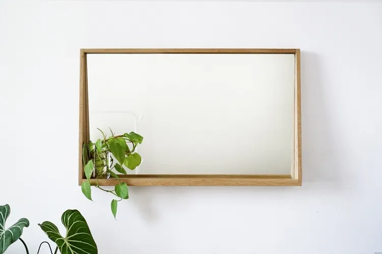 miroir cadre en bois avec une plante en pot