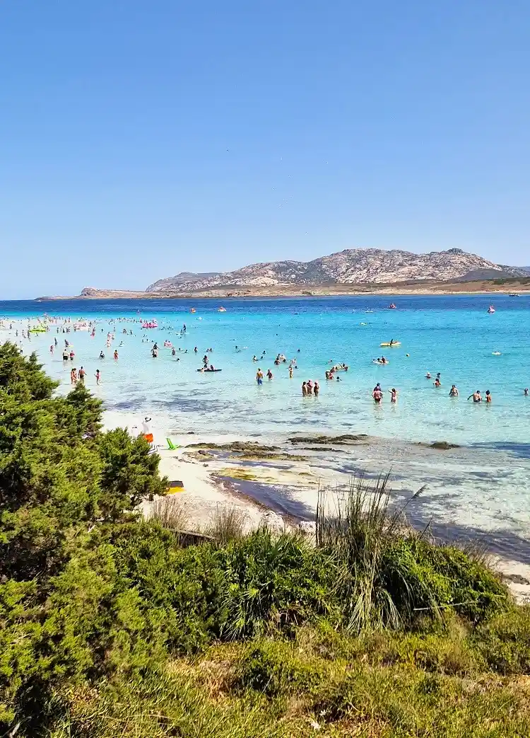 plage la pelosa sardaigne