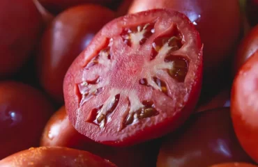 que faire avec les tomates mûres quelles recettes préparer alexis mancia shutterstock