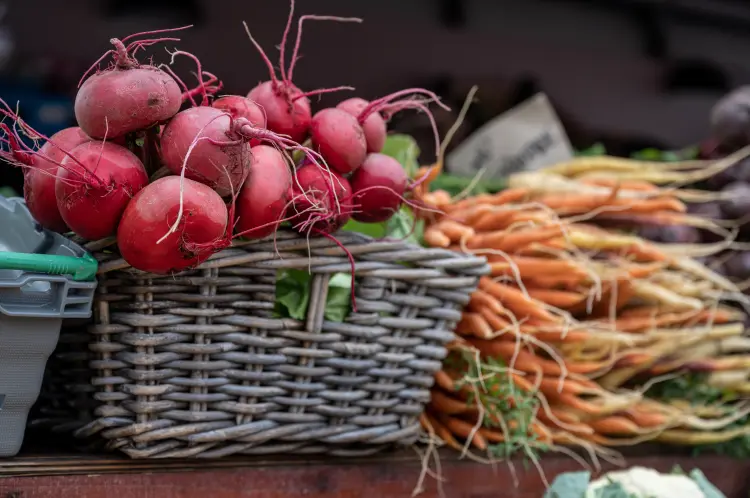 quels légumes planter en fin d'août 