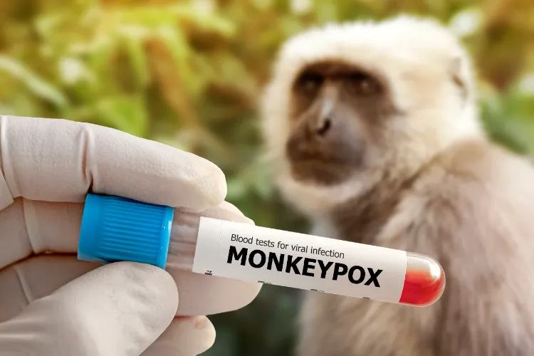 quels sont les symptômes de la variole du singe en 2024