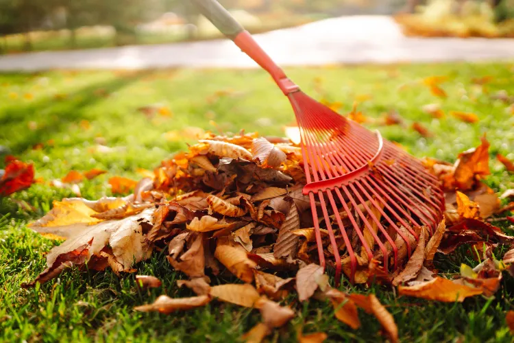 ramasser les feuilles en automne