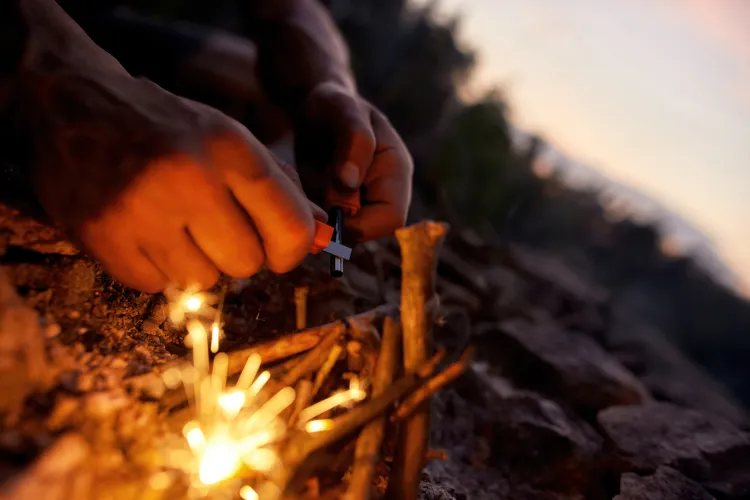 comment utiliser les écorces de châtaignes en tant qu'allume feu naturel