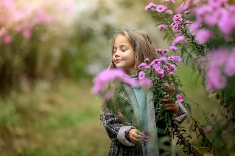 fleurs d'automne à floraison prolongée pour le jardin