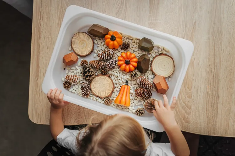 boîte sensorielle d'automne avec des haricots secs pommes de pin et courges