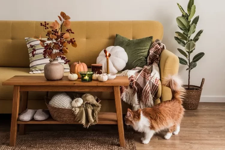 comment intégrer les citrouilles en décoration dans l'intérieur scandinave