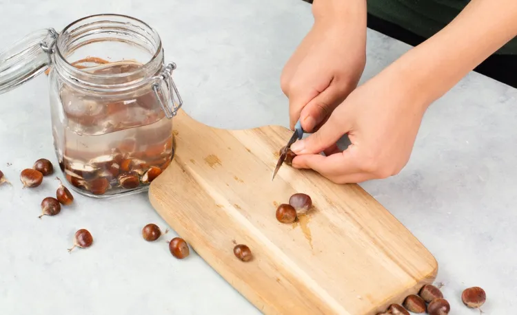 comment préparer de la lessive maison aux marrons en quelques étapes simples