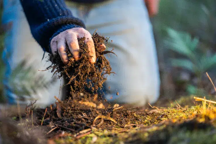 comment stocker le compost