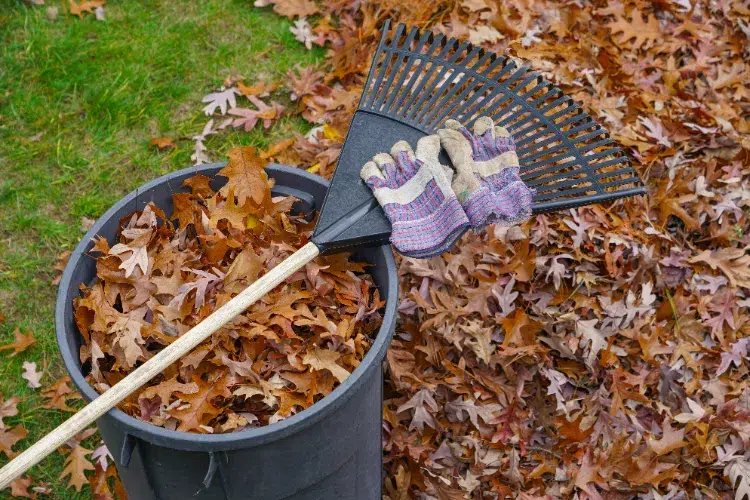 Compostage des feuilles mortes en automne,Compostage feuilles mortes automne