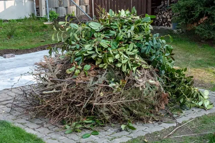 déchets de jardin à ne pas mettre dans le compost