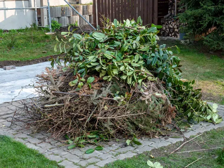 déchets de jardin à ne pas mettre dans le compost