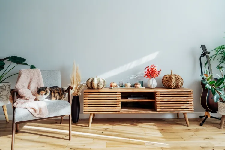 des courges décoratives sur la commode en bois dans le salon scandinave contemporain