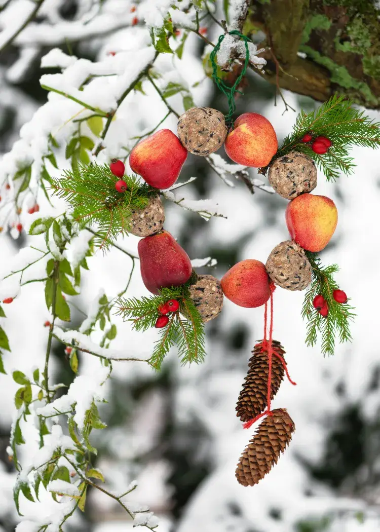 fabriquer une mangeoire à oiseaux en forme de couronne composée de pommes et boules de graisse