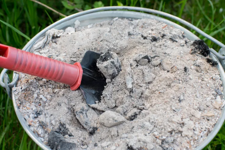 pas de cendres dans le compost