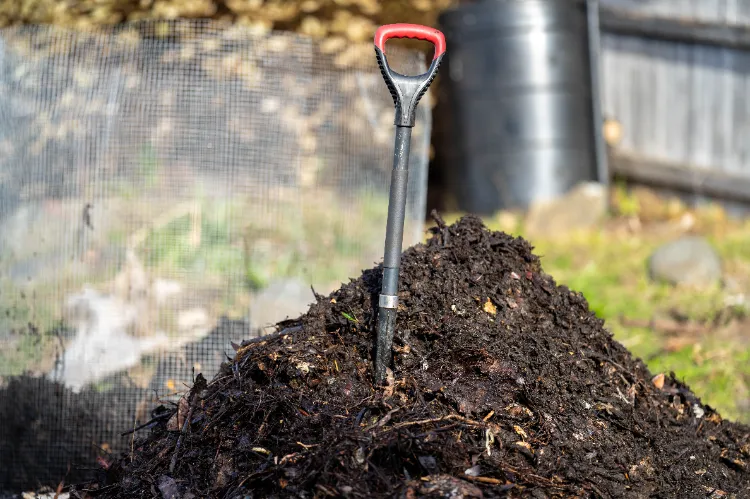 pile de compost dans le jardin