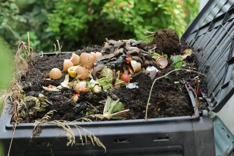 quand vider le bac à compost à quelle fréquence joanna 