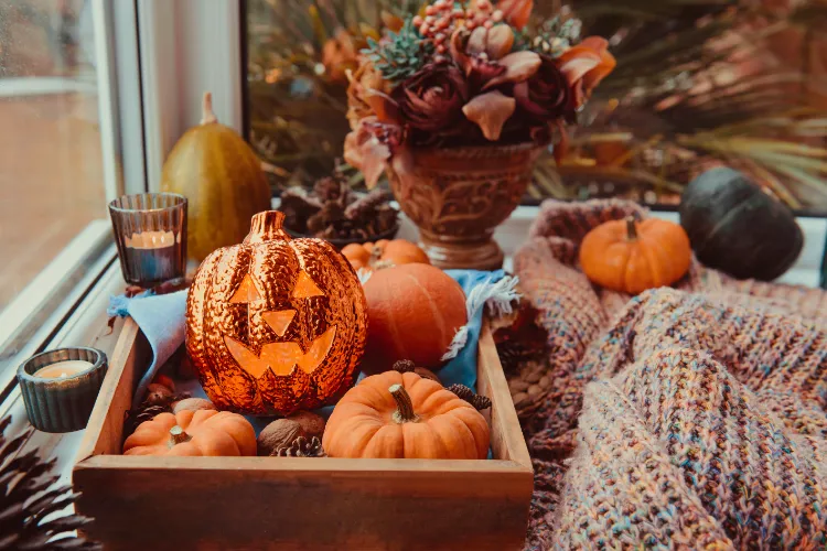 Quel type de courge pour Halloween,Quel type courge Halloween