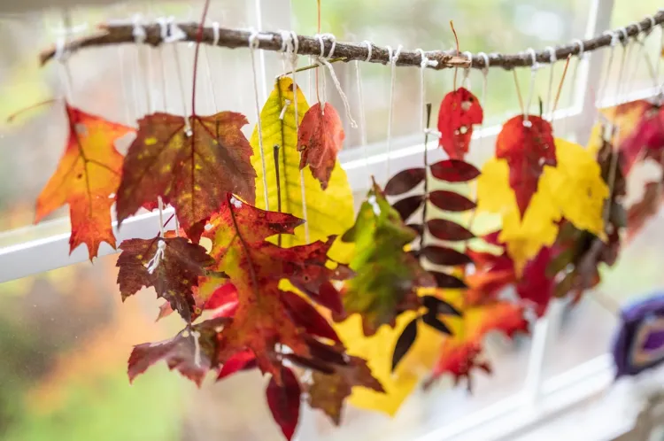 une idée de mobile diy original avec des feuilles mortes et une branche