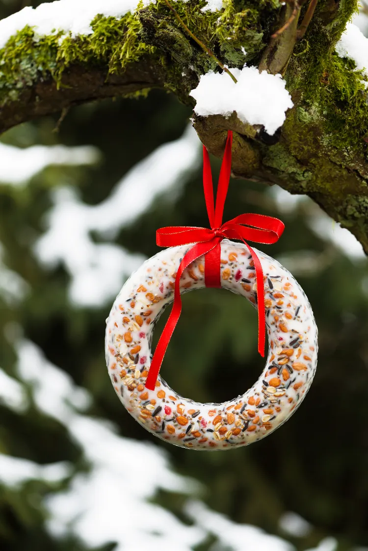 une mangeoire à oiseaux en forme de couronne avec huile de coco et un mélange de graines